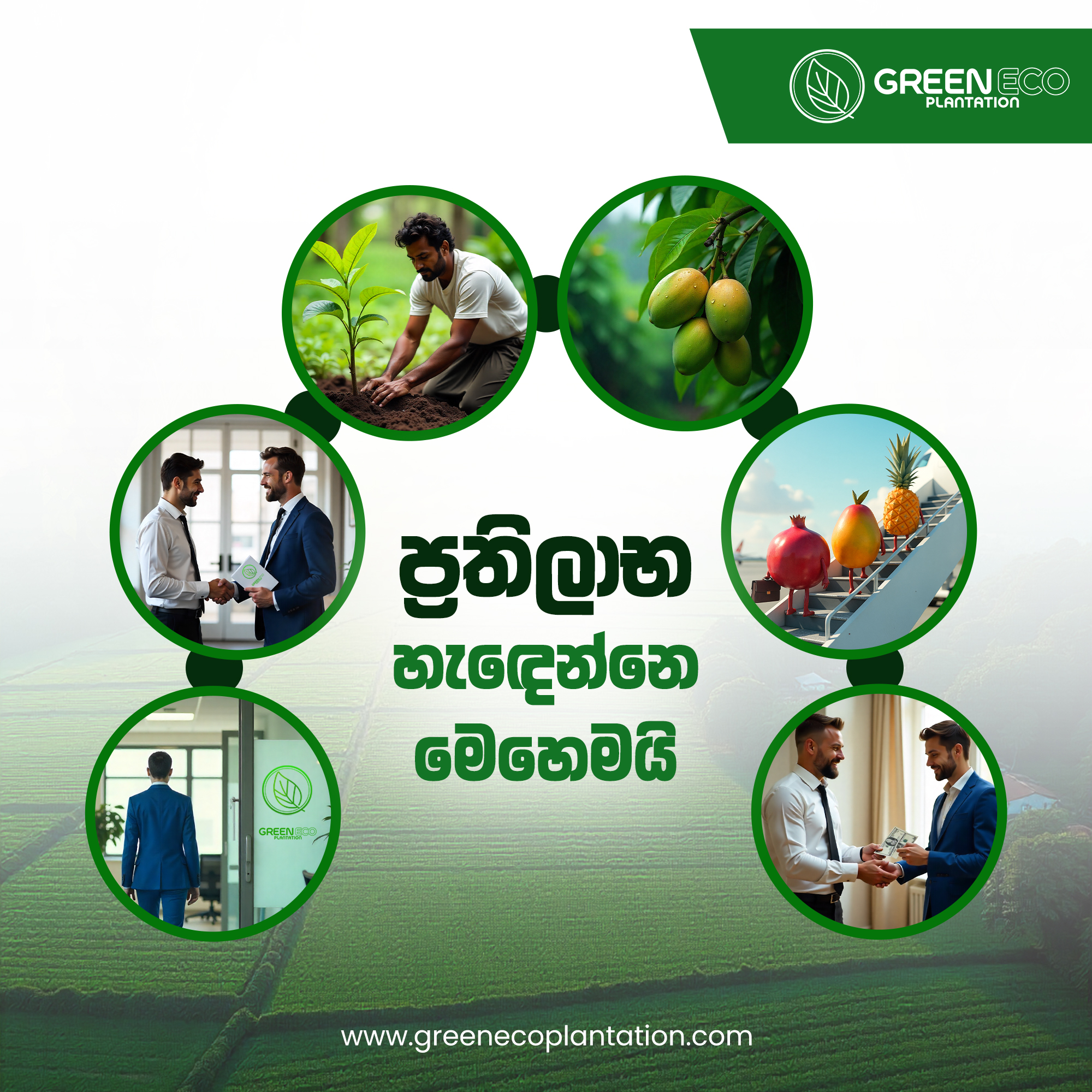 Corporate Brand Identity 10