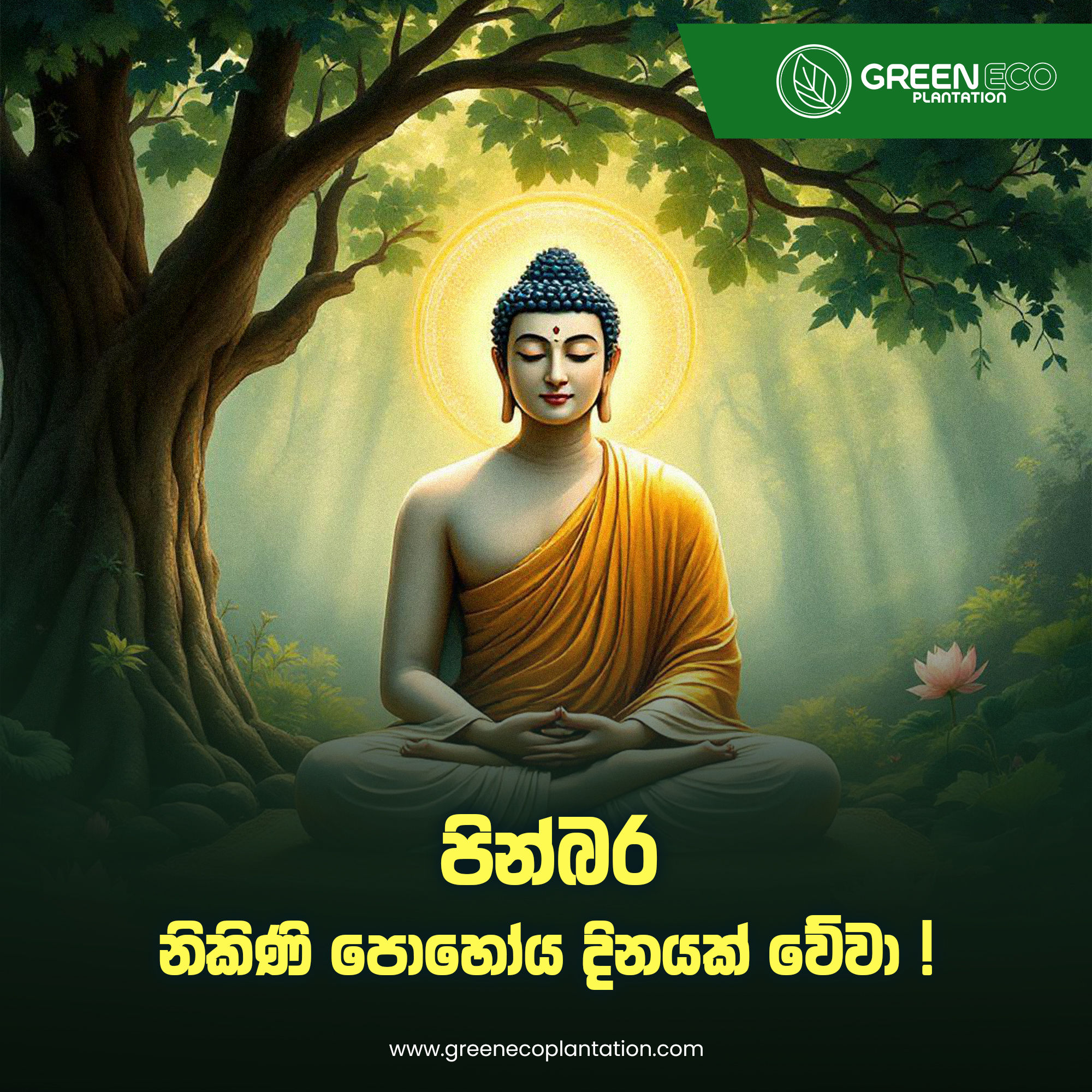 Corporate Brand Identity 11