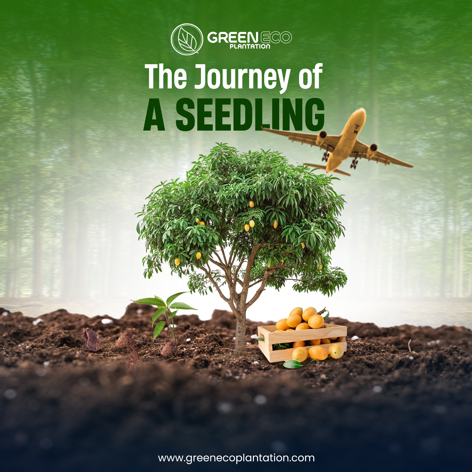 Corporate Brand Identity 3