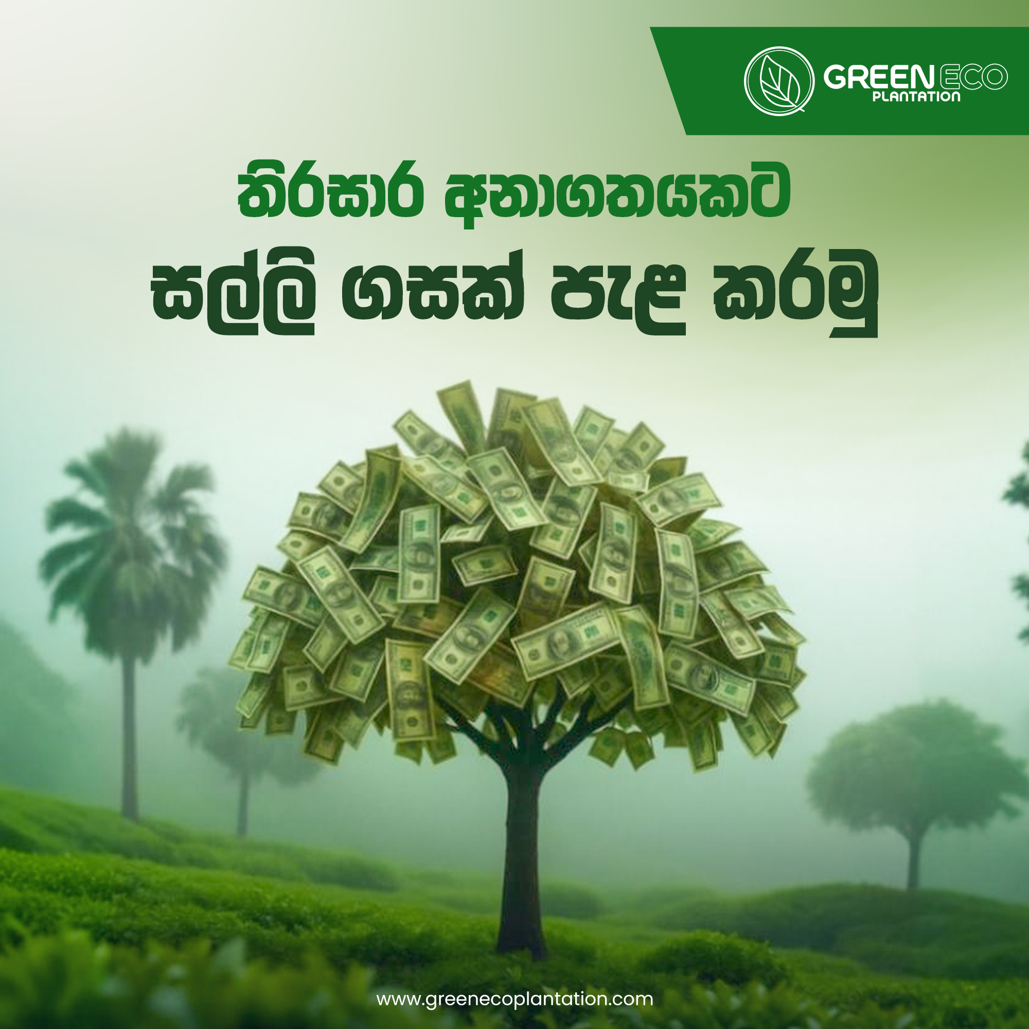 Corporate Brand Identity 5