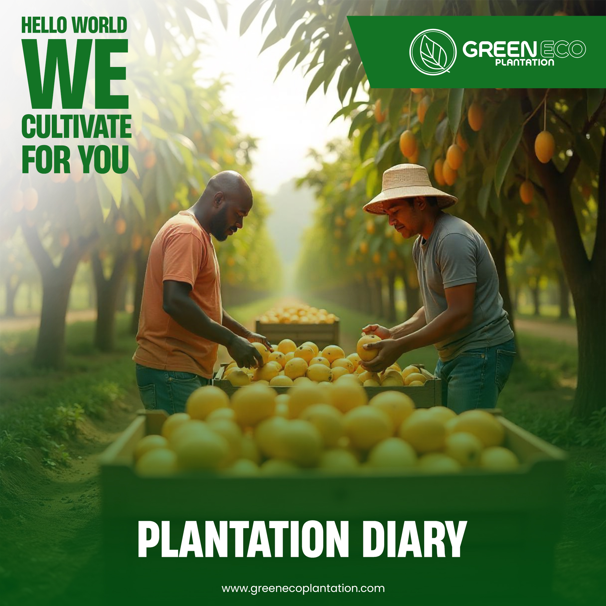 Corporate Brand Identity 9